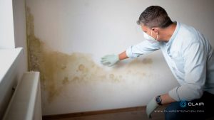 Benefits of Professional Mold Inspection