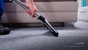 importance of regular carpet and rug cleaning.