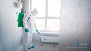 Why hire a for mold removal.
