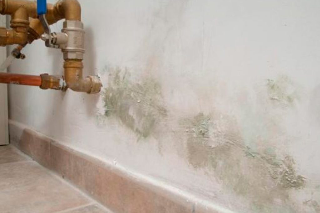 Water and Mold Damage -Basic Coverages in Home Insurance